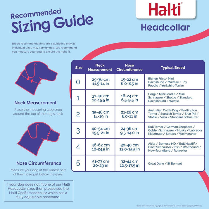 HALTI Headcollar til Stressfrie Gåture™