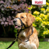 HALTI Headcollar til Stressfrie Gåture™