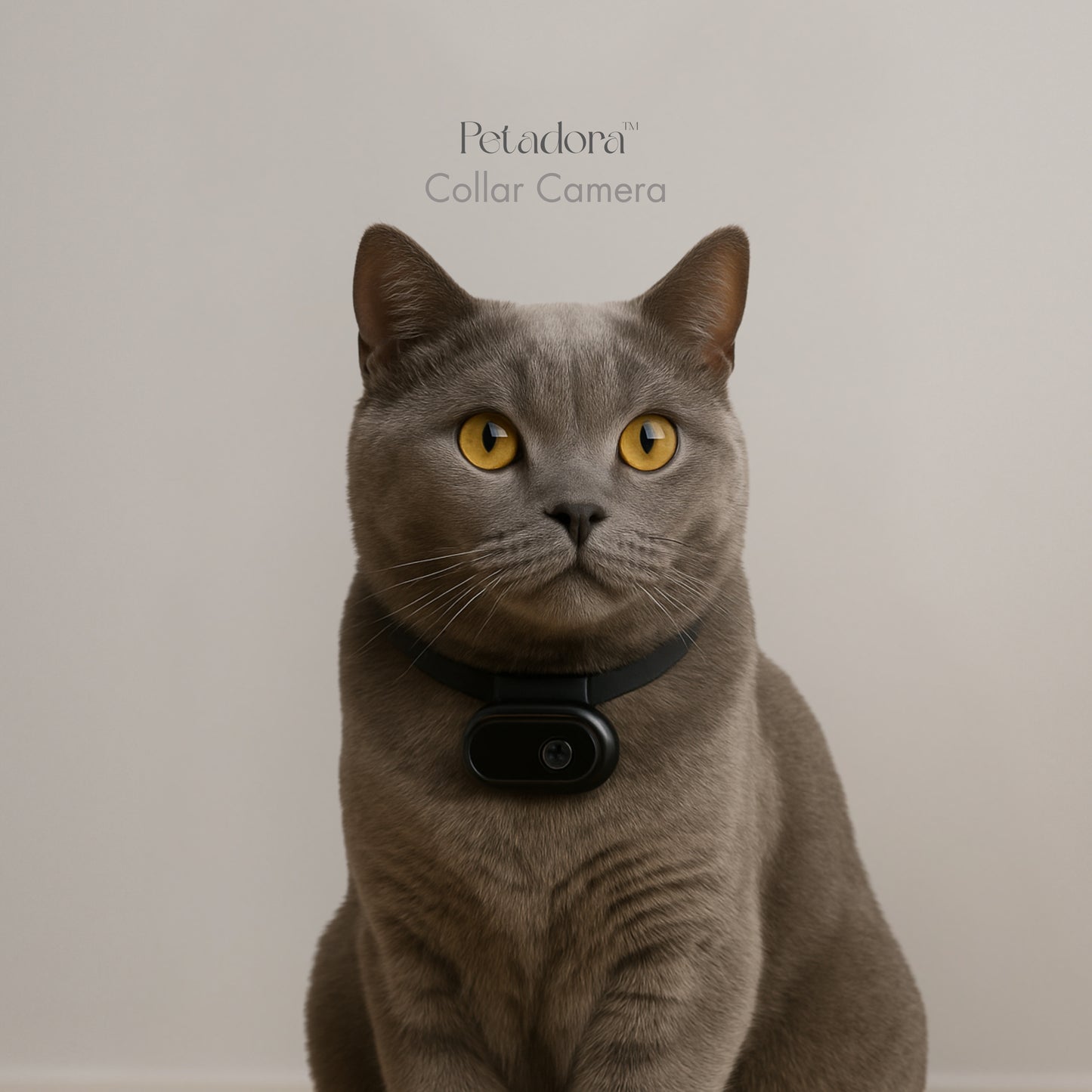 Pet CollarCam™
