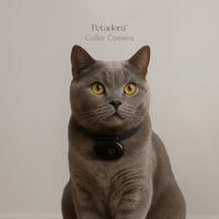 Pet CollarCam™