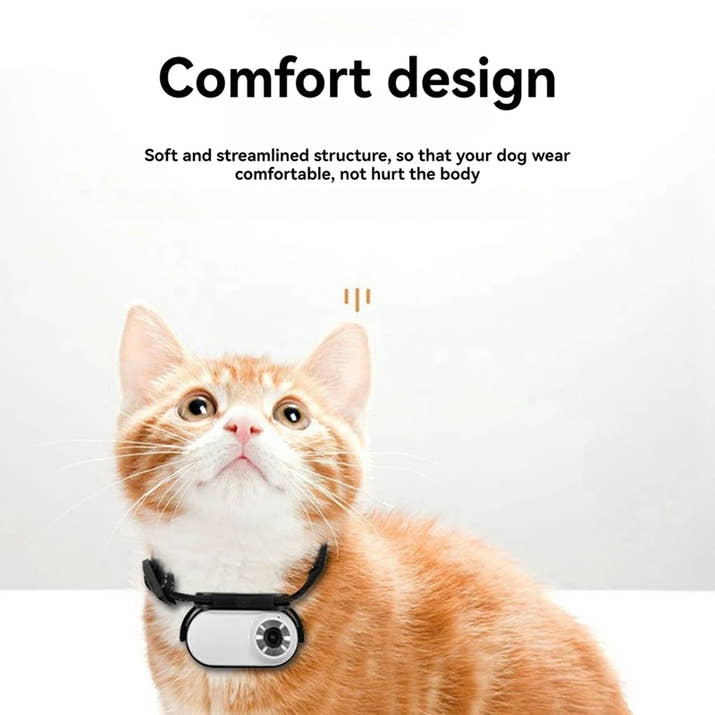 N11R- Pet Collar Camera For Pet Camera And Monitor With Wide Angle Lens, Mini Portable Stabilized Sports Body Camera