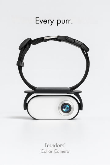 See Life Through Your Pet’s Eyes!